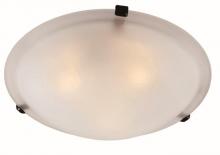  58700 ROB - Cracka 12" Flush Mount Indoor Ceiling Light